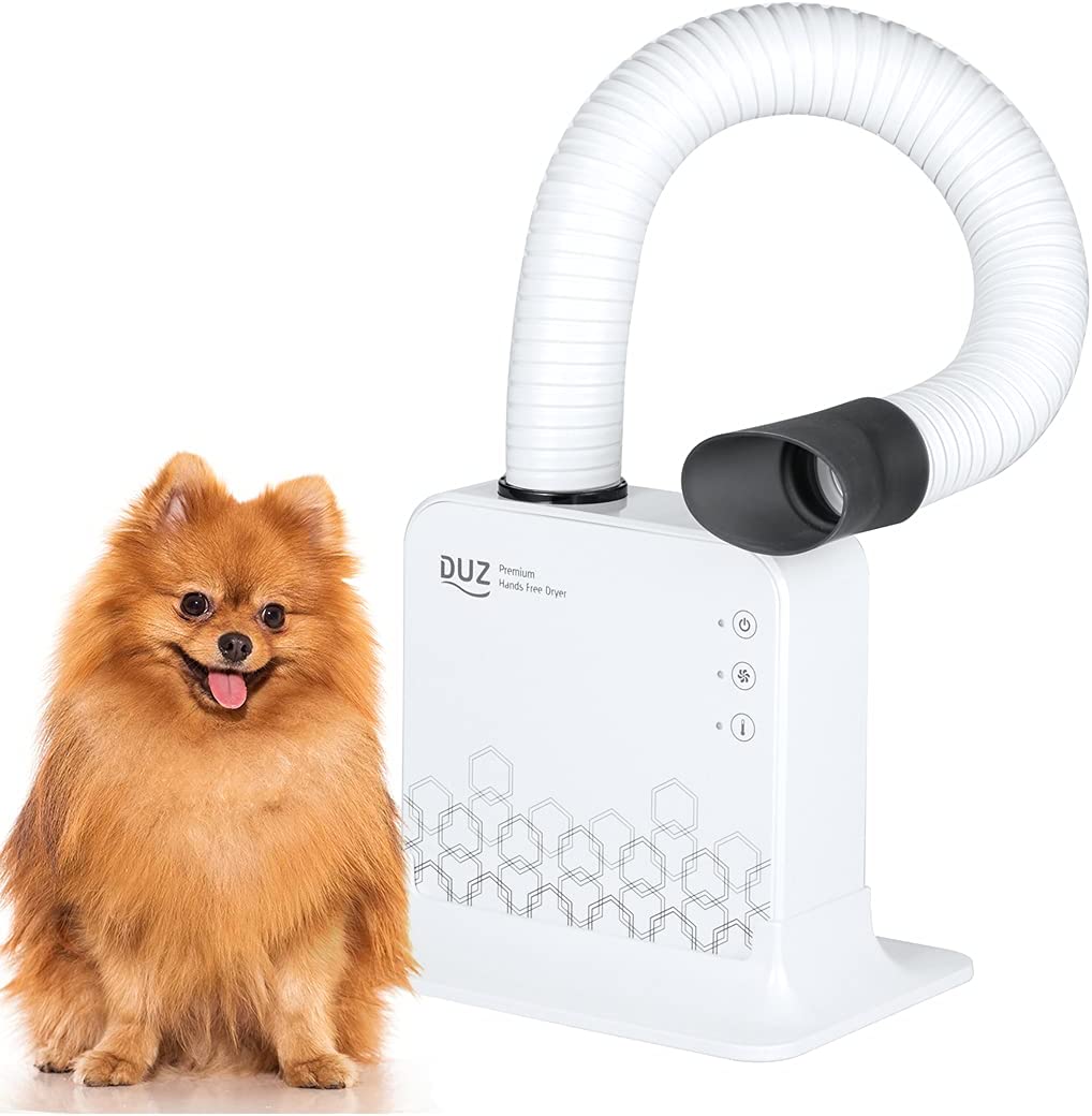 Facts about dog hair dryer