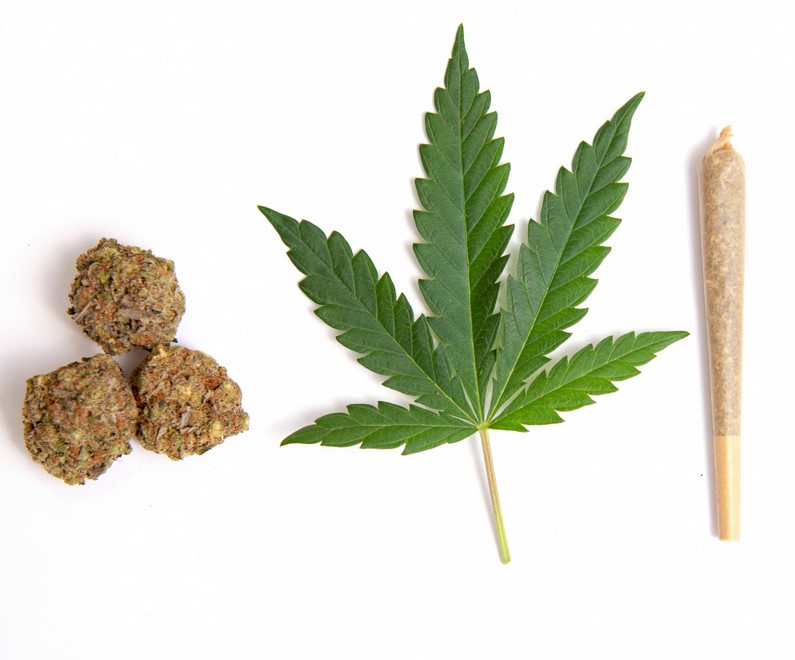 Generate excellent savings whenever you best weed delivery Winnipeg
