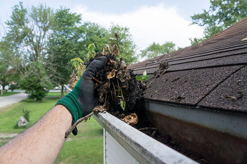 How you can thoroughly clean your home windows like a pro